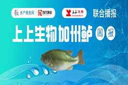 價格堅挺，上漲0.5元/斤！老口魚存塘見底，魚中到處找大魚｜高端水產(chǎn)·看上上報價?