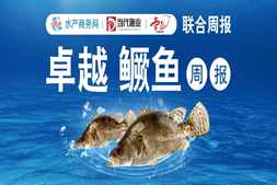 漲了！國慶前全國出魚量激增，廣東鱖魚最高漲1元/斤，市場釋放哪些信號？｜海南卓越聯(lián)合播報?